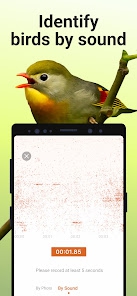 ภาพตัวอย่างแอป Picture Bird - Bird Identifier